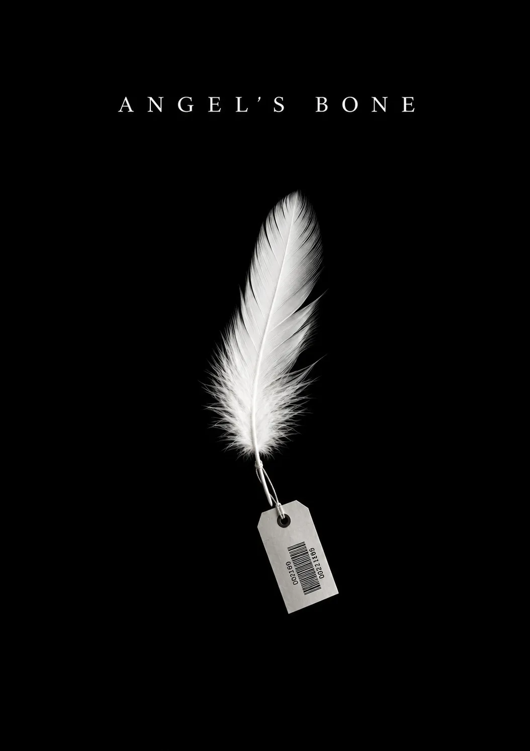 Angel's Bone