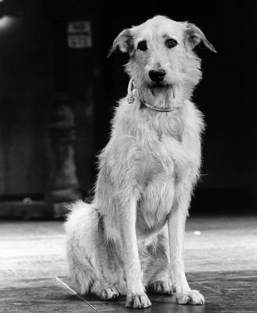 Annie