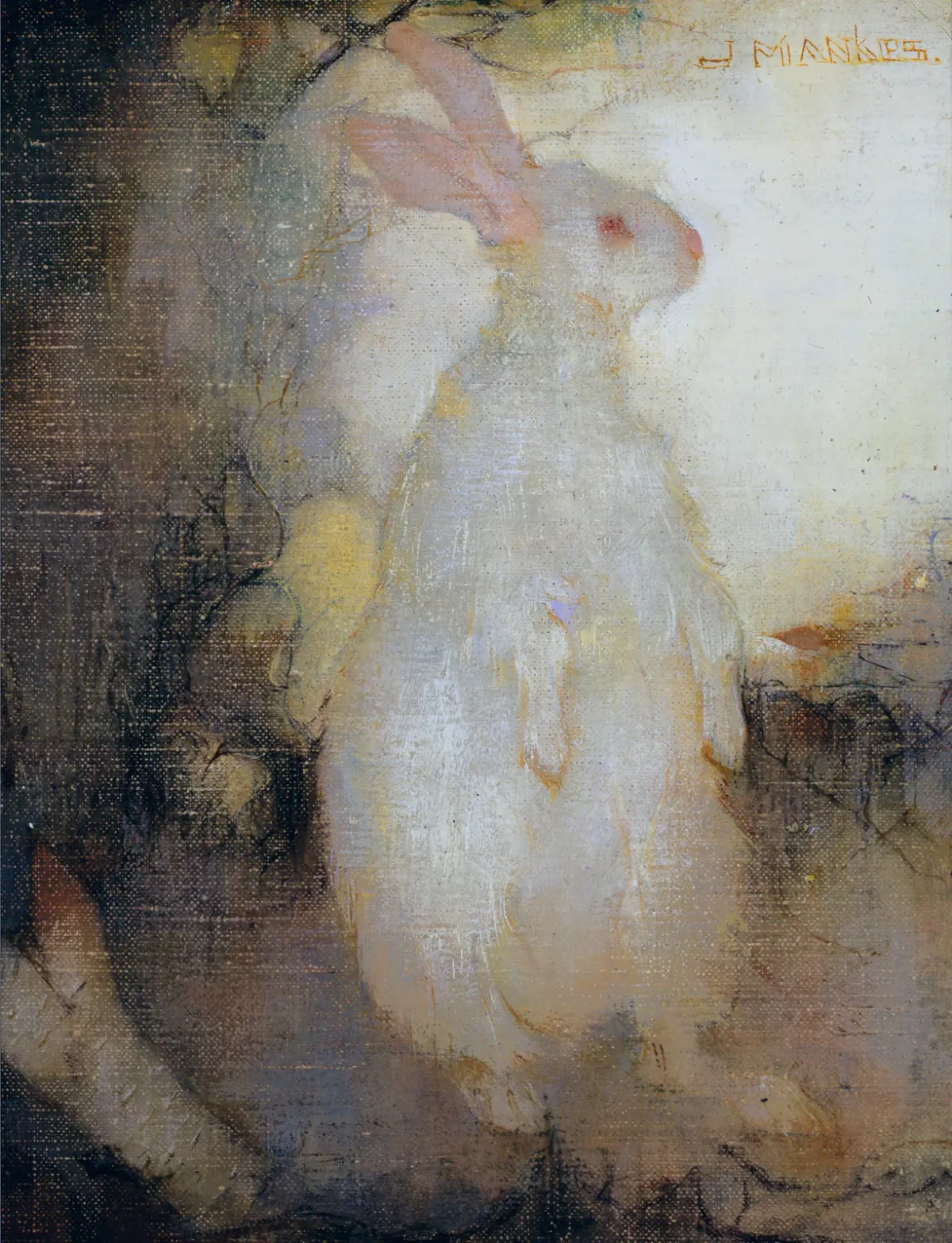 White Rabbit Red Rabbit